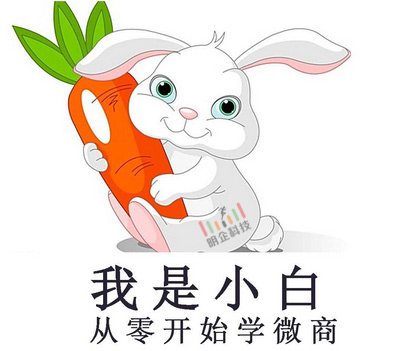 微信营销 微信营销