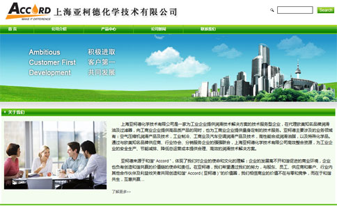 公司网站建设 公司网站建设